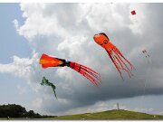 Kitty Hawk_2010_07