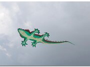 Kitty Hawk_2010_08