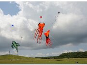 Kitty Hawk_2010_10
