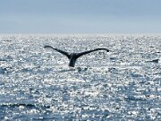 Victoria_2009_05