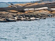 Victoria_2009_07